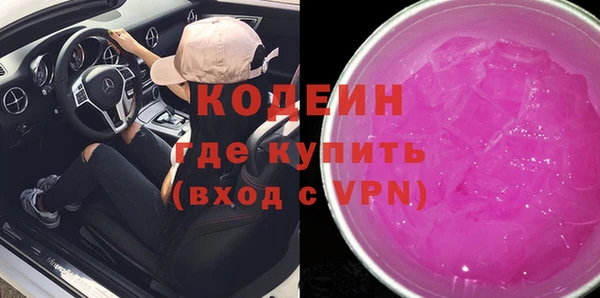 молекула духа Новозыбков