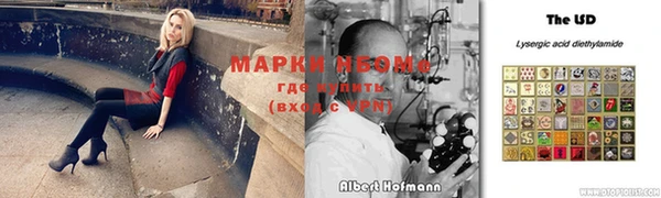 молекула духа Новозыбков