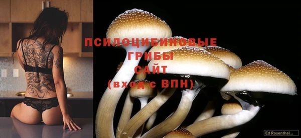 молекула духа Новозыбков