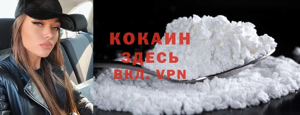молекула духа Новозыбков