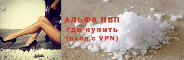молекула духа Новозыбков