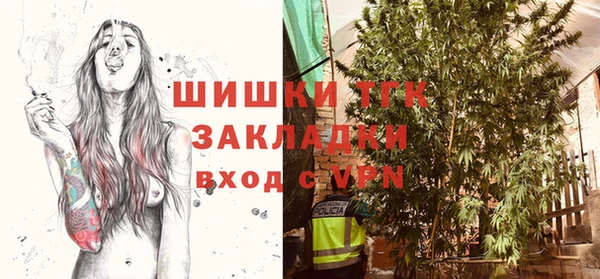 молекула духа Новозыбков