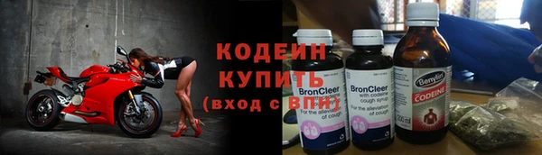 молекула духа Новозыбков