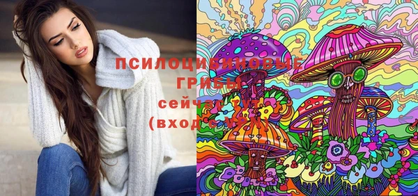 таблы Новодвинск