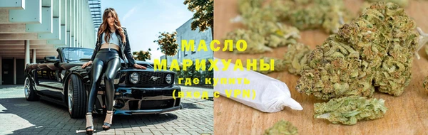 молекула духа Новозыбков