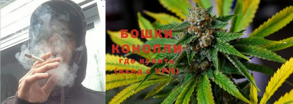 молекула духа Новозыбков